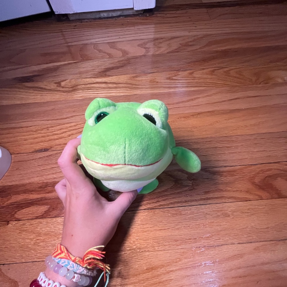 A little frog stuffed animal